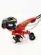 Eurosystems Z2 -Motobineuse &agrave; essence 3,5 CV -  Moteur Briggs&amp;Stratton 450