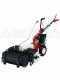 Motoculteur Eurosystems P 55 avec moteur &agrave; essence Briggs&amp;Stratton 675