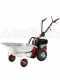 Motoculteur Eurosystems P 55 avec moteur &agrave; essence Briggs&amp;Stratton 675