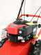 Tondeuse d&eacute;broussailleuse Domino moteur Briggs&amp;Stratton 850 tondeuse broyeuse