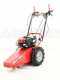 Tondeuse d&eacute;broussailleuse Domino moteur Briggs&amp;Stratton 850 tondeuse broyeuse