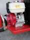Broyeur de branches professionnel Ceccato Tritone Monster &ndash; moteur Honda GX 390