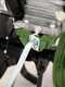 Motobineuse AgriEuro AGRI 5 - Loncin TM 60 OHV &agrave; essence