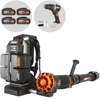 Souffleurs - Aspirateurs pour Feuilles