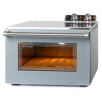 Fours d'extérieur - intérieur pour pizza et cuisine