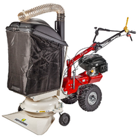 Aspirateurs à feuilles sur roues