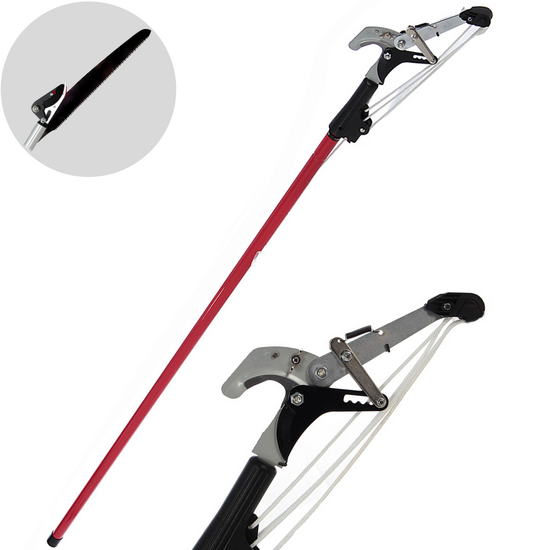 Ausonia - &Eacute;chenilloir sur perche, coupe &agrave; cliquet + scie sur perche t&eacute;lescopique de 170-310&nbsp;cm