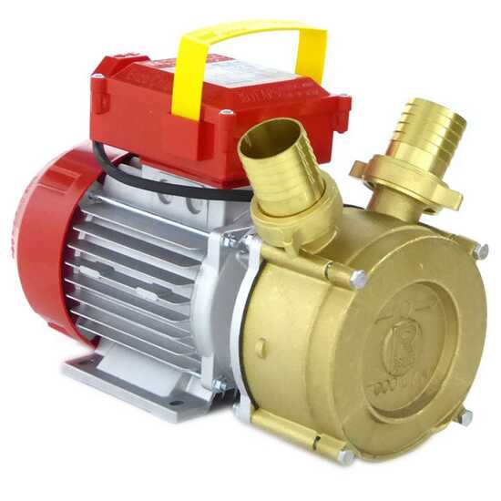Rover BE-M 40 - Pompe électrique de transfert en bronze - Monophasée - 230V