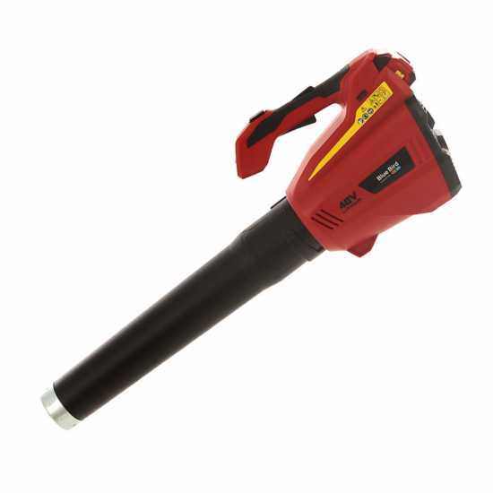 Blue Bird R3S - Souffleur de feuilles &agrave; batterie 40 V 2.5 Ah