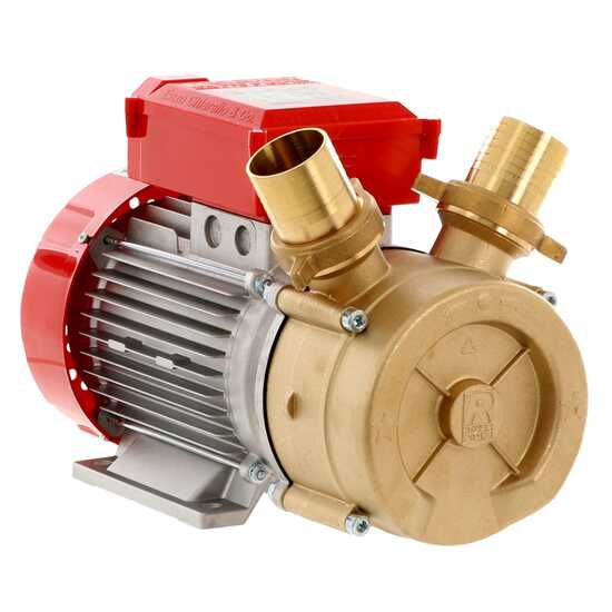 Rover BE-M 50 - Pompe &eacute;lectrique de transfert en bronze