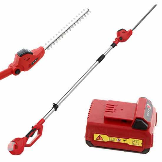 Blue Bird R3S - Taille-haie &eacute;lectrique sur perche de rallonge t&eacute;lescopique - 40V/2,5Ah