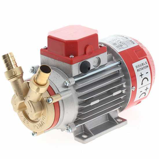Rover Marina 25 - Pompe &eacute;lectrique de transfert en bronze - 24 V