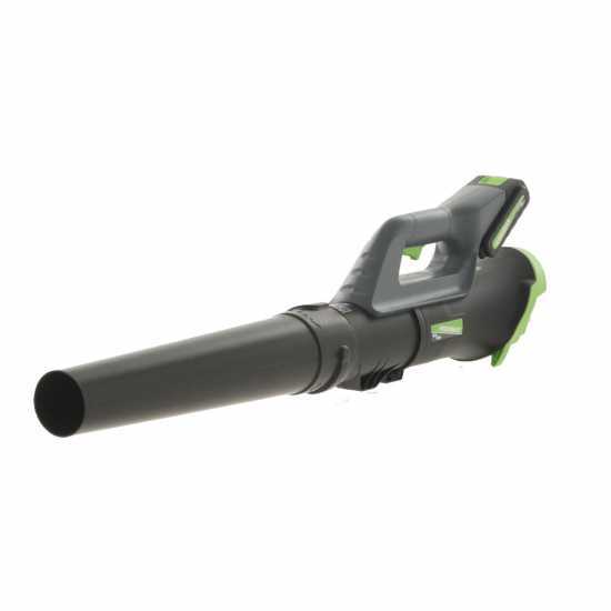 Verdemax SA20 - Souffleur de feuilles à batterie 20 V 2 Ah