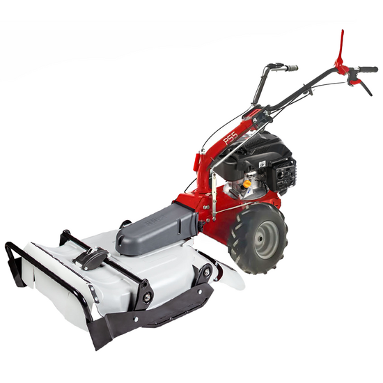 Eurosystems P55 - Tondeuse d&eacute;broussailleuse thermique - Faucheuse PRO - Rato RV200