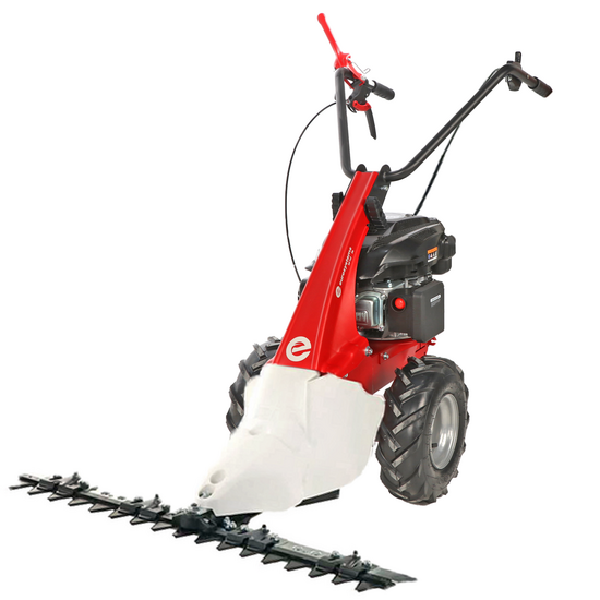 Eurosystems Minieffe - Motofaucheuse multifonction - Rato RV200