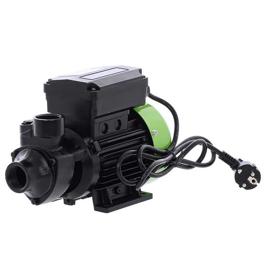 Ribimex PRPC115 - Pompe de transfert pour gasoil