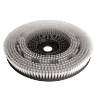 Brosse de rechange originale pour autolaveuse Lavor Pro Quick 36