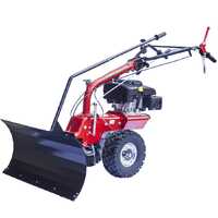 Eurosystems TM70 EVO - &Eacute;trave avec moteur &agrave; essence - B&amp;S 850E I/C