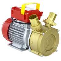Rover BE-M 40 - Pompe électrique de transfert en bronze - Monophasée - 230V