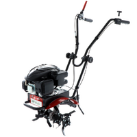 Benassi BL 20 - Motobineuse à essence 4,5 CV - Moteur Loncin LC1P65FE