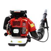 GeoTech BB 660 EVO - Souffleur de feuilles thermique à dos avec moteur 2 temps
