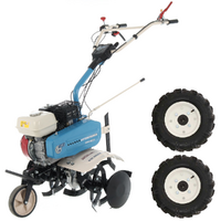 AGT 6500 - Motobineuse &agrave; essence 6,5 CV - Honda GX200 da 196 cm3 - vitesses avant 2+1 arri&egrave;re
