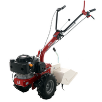 Eurosystems P55 - Motoculteur à essence - Loncin LC1P70F-3 - 6,5 Cv