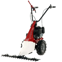 Eurosystem Minieffe - Motofaucheuse multifonction - Loncin L200 OHV