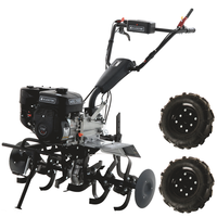 Motobineuse BlackStone MHG 2000 avec moteur thermique &agrave; essence de 212 cm3