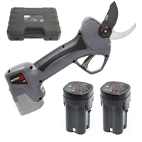 S&eacute;cateur &agrave; batterie de taille Ausonia Nativa Medium - 2 batteries 16.8V - 2.5Ah offertes