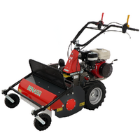 Benassi T750S - Tondeuse d&eacute;broussailleuse professionnelle &agrave; couteaux - Honda GX270