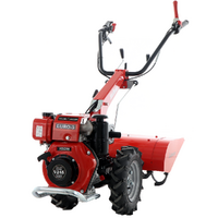 Diesse Minitriss - Motoculteur diesel - Vulcan V245 - 4,2 Cv