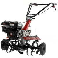 Benassi BL106C - Motobineuse à essence 7 CV - Moteur Hwasdan H170F