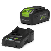 Starter Kit Greenworks 48/24V 2/4 Ah GSK4824B2