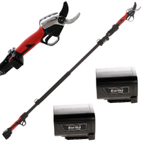 S&eacute;cateur &eacute;lectrique &agrave; batterie sur perche de rallonge BlueBird PS 22-38 - 21.6V - 2.5 ah