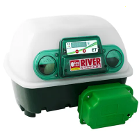 Couveuse pour &oelig;ufs automatique River Systems ET 12