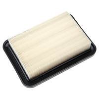 Filtre plat Nilfisk PTFE - Classe M