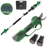 GreenBay TopCut 28 - S&eacute;cateur &eacute;lectrique de taille sur perche - 2x 16.8V 2Ah - 150/210 cm