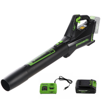 Greenworks GD48AB - Souffleur à batterie axial - 48 V / 4 Ah