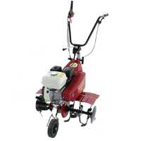 Eurosystems  Euro 5 EVO - Motobineuse &agrave; essence 5,5 CV - Moteur Honda GP 160
