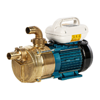 Tellarini EEM 40 - Pompe &eacute;lectrique de transfert en laiton - Monophas&eacute; - 230V