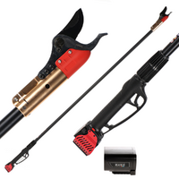 Blue Bird HPS 22-220 - Sécateur de taille électrique sur perche de 220 cm - 21,6V 2,5Ah