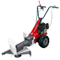 Eurosystems Minieffe - D&eacute;broussailleuse sur roues &agrave; essence - Loncin 196 OHV