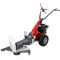 Eurosystems Minieffe M150 - D&eacute;broussailleuse sur roues &agrave; essence - B&amp;S 625 EXi