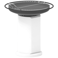 Palazzetti Apollo 60 - Barbecue &agrave; bois et &agrave; charbon en ma&ccedil;onnerie