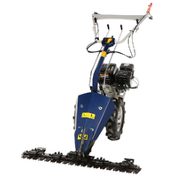 BullMach Chimera 300 - Motofaucheuse multifonction - Loncin G200F