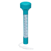 Thermomètre flottant Bestway 58072