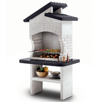 Palazzetti Procida 2 - Barbecue en ma&ccedil;onnerie &agrave; bois et charbon