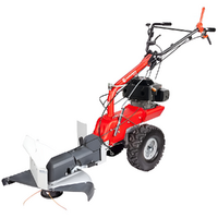 Eurosystems P70 EVO - D&eacute;broussailleuse &agrave; essence sur roues - Loncin 224 OHV