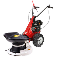 Eurosystem Minieffe RM - Motofaucheuse rotative multifonction - Rato RV200